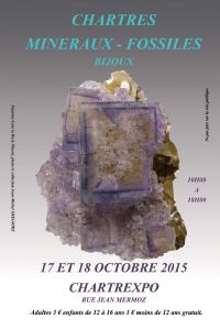 Salon des minéraux, fossiles et bijoux. Du 17 au 18 octobre 2015 à Chartres. Eure-et-loir. 